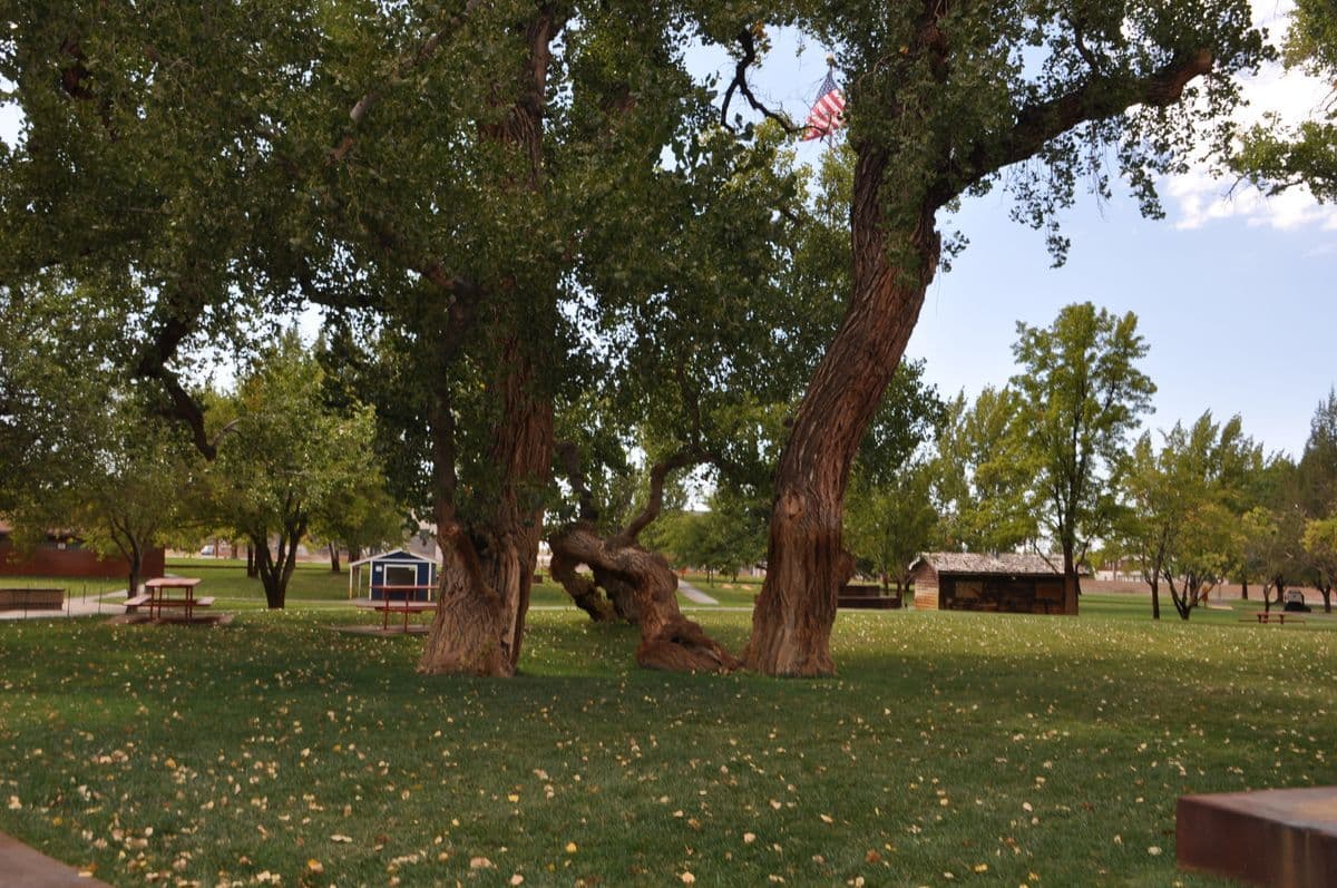 Cottonwood Park