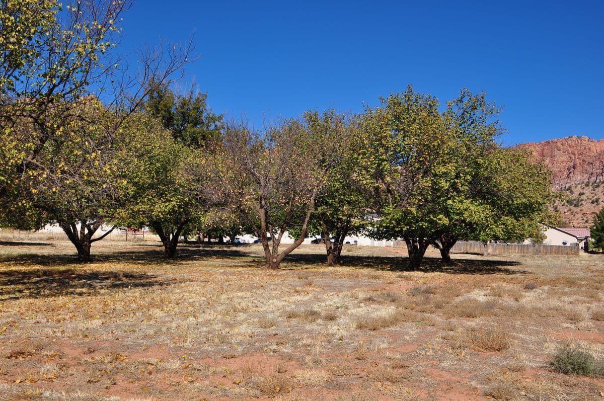 Johnson Heritage Park